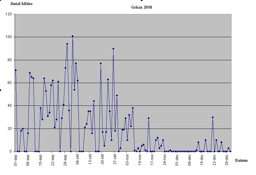 statistik 2010