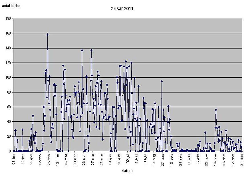 statistik 2011