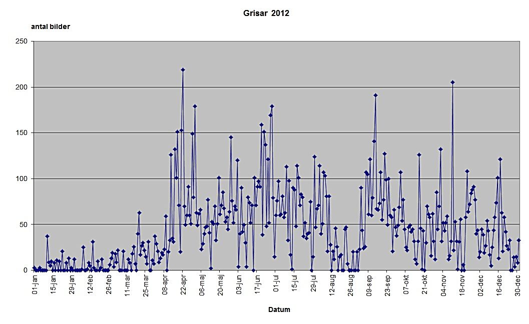 statstik 2012