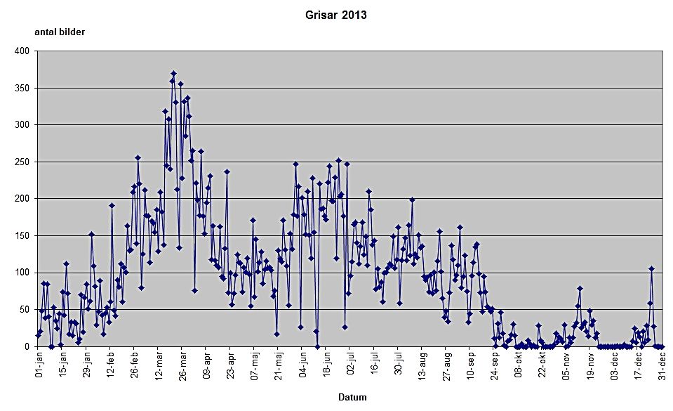 statstik 2013