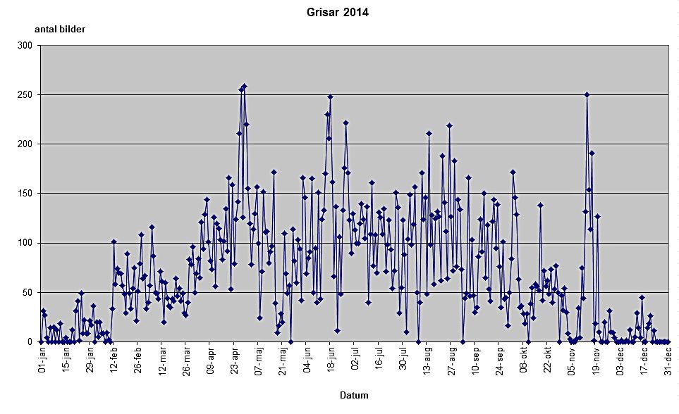 statstik 2014