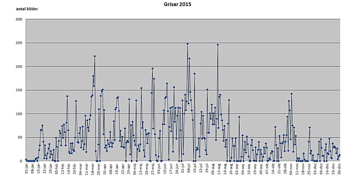 statstik 2015