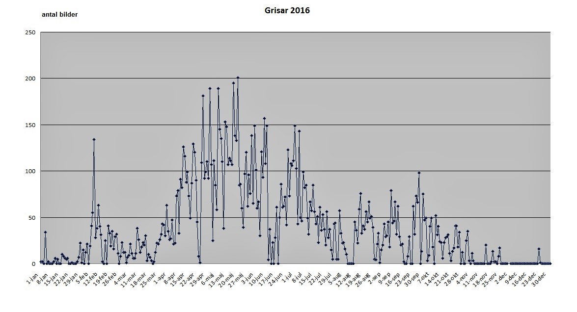 statstik 2016