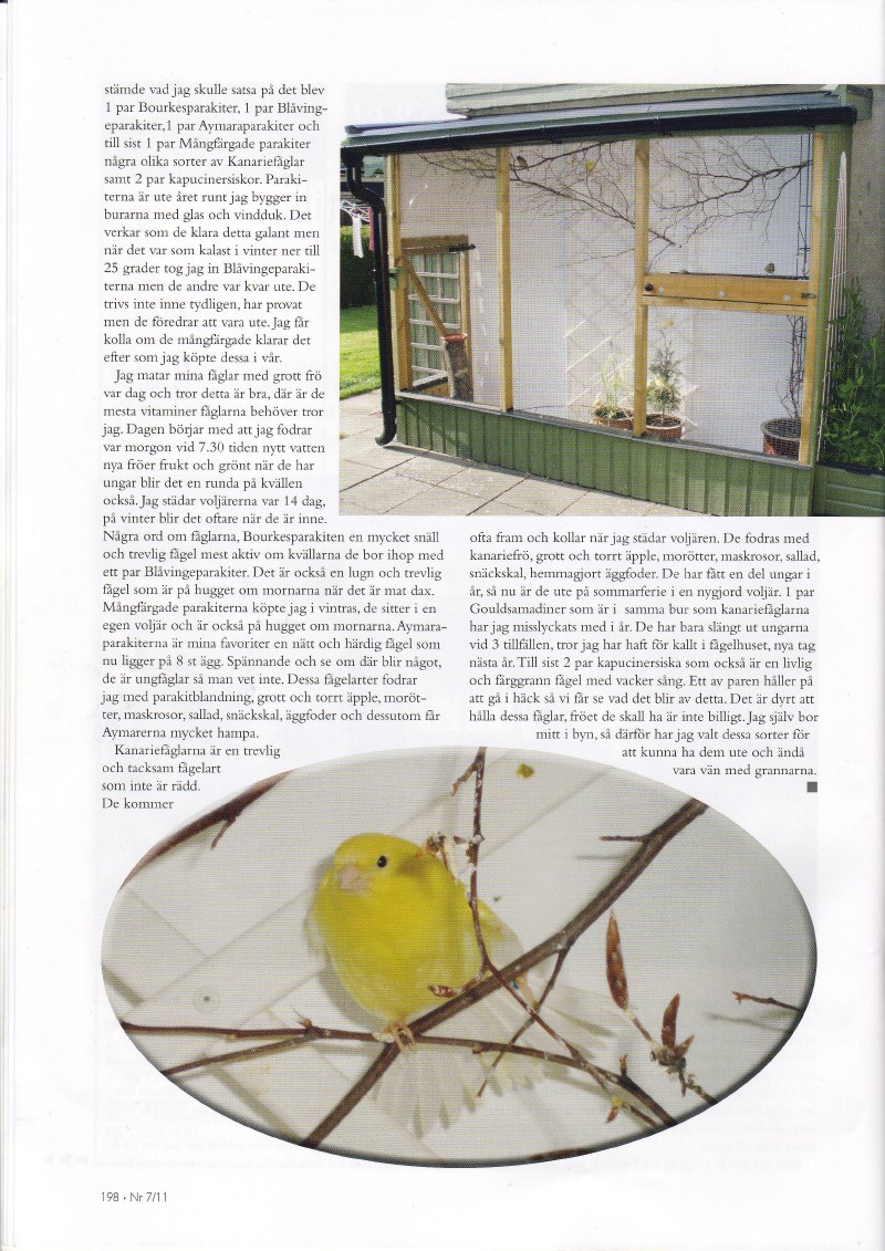 Fågelhobby nr. 7/11